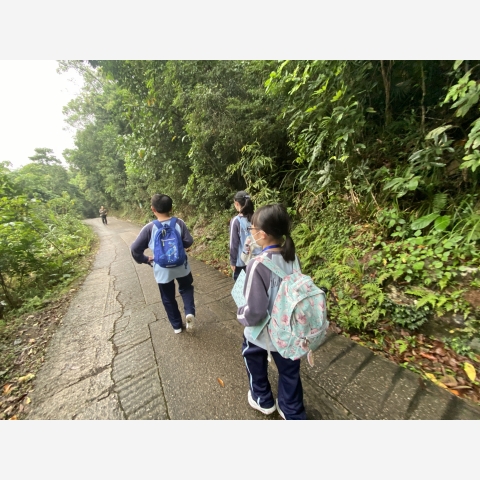 20230522第二屆全港小學野外大搜查學界比賽4