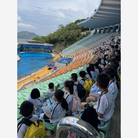 Image_20250716_123224_851