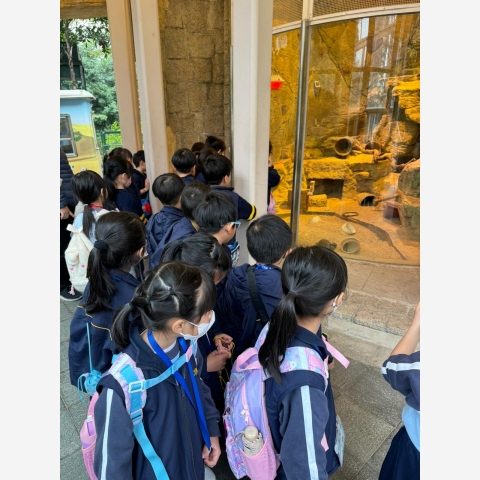 WhatsApp Image 2024-02-28 at 2.22.19 PM (2)