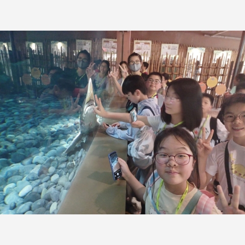 WhatsApp Image 2026-03-31 at 8.50.01 AM - 複製