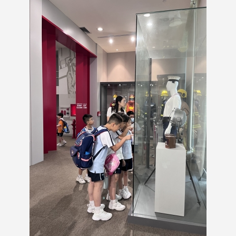 Image_20250509_164923_912
