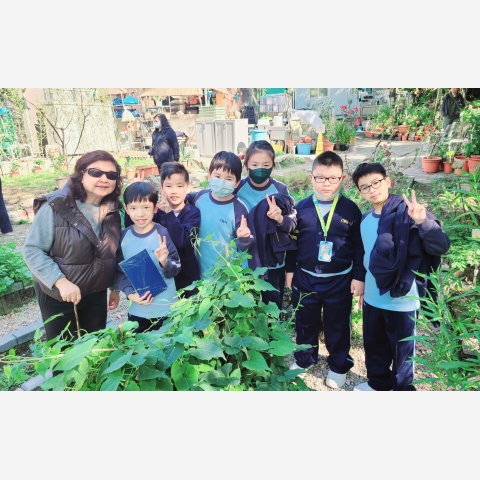 中草藥與環境專題2