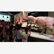 WhatsApp Image 2025-04-29 at 11.26.45 (3)