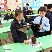 六年級同學製作3D種子模型。