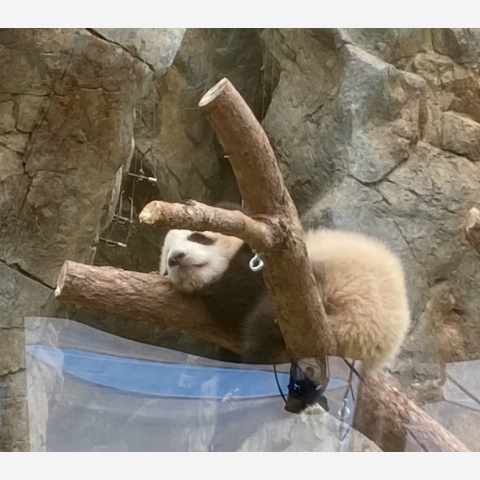 Image_20250403_170159_179
