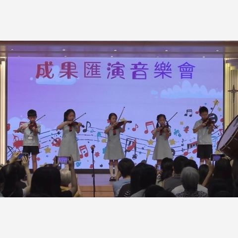 violin juniors