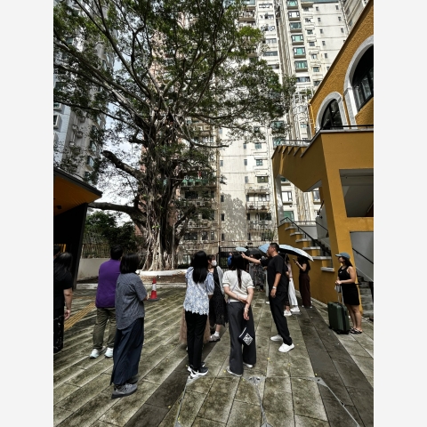 Image_20260708_173351_005